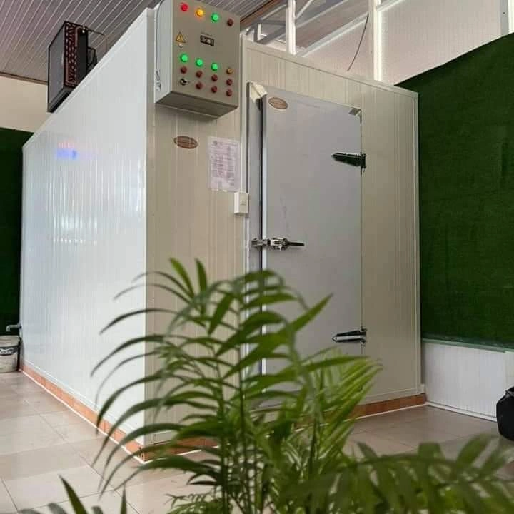 Tư vấn lắp đặt kho lạnh trái cây từ A-Z